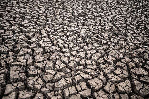 Arid land with dry and cracked ground, global warming