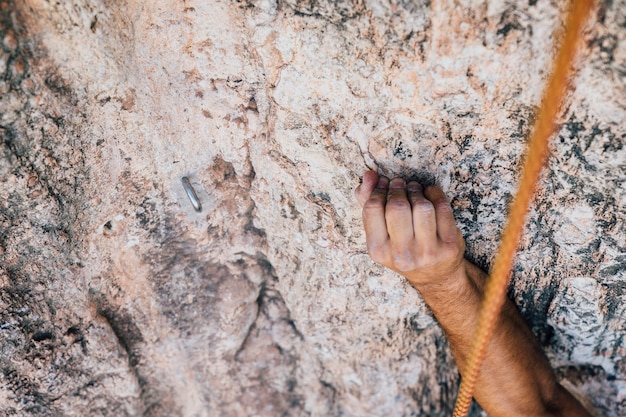 Arm of climber at rock
