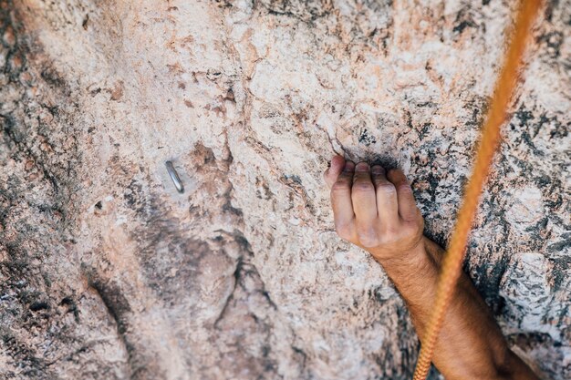 Arm of climber at rock