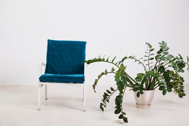 Кресло с зеленым растением в горшке