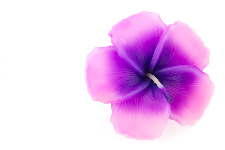 Free Photo aromatic candle with flower-shaped