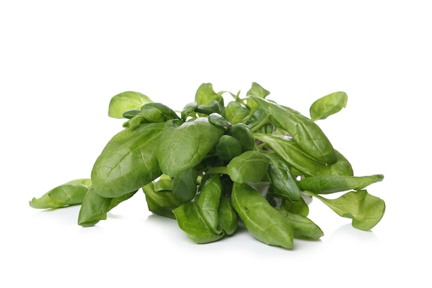 Aromatic herbs on a white surface