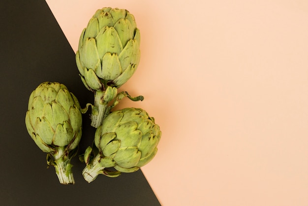 Arranged artichoke on colorful backdrop