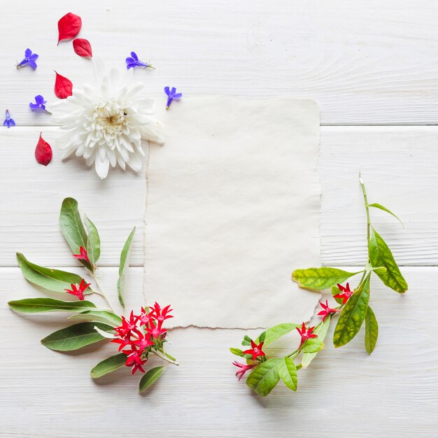 Arranged blooming branches and paper