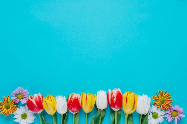 Arranged gentle spring flowers on blue