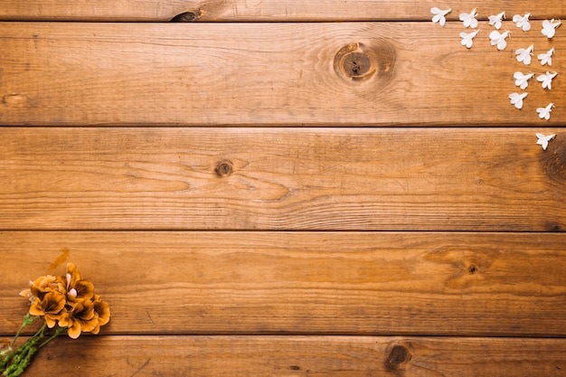 Arranged petals on wood