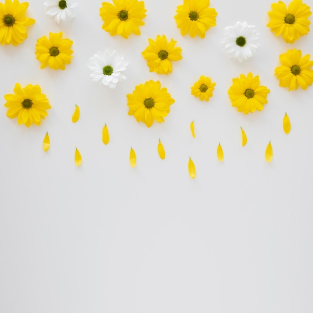 Arrangement of beautiful bloomed flowers