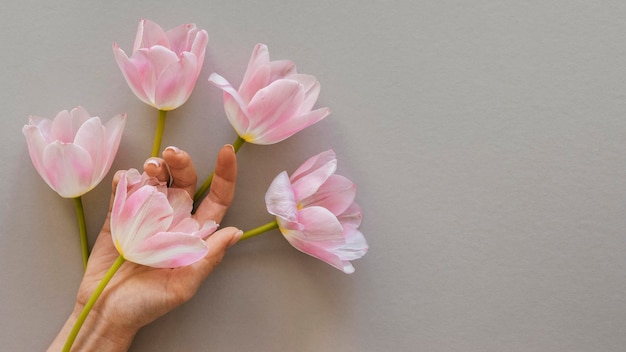 Foto gratuita disposizione di bellissimi fiori sbocciati