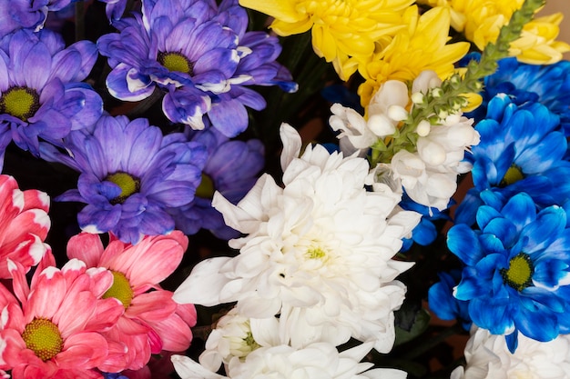 Free photo arrangement of beautiful flowers background