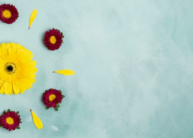 Free photo arrangement of daisies and sunflower with copy space