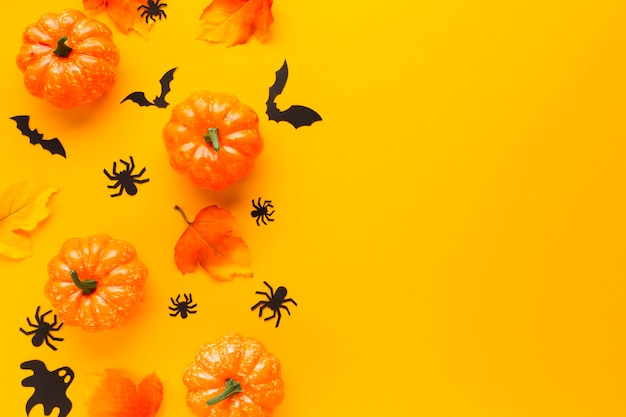 Arrangement of decorative halloween pumpkins