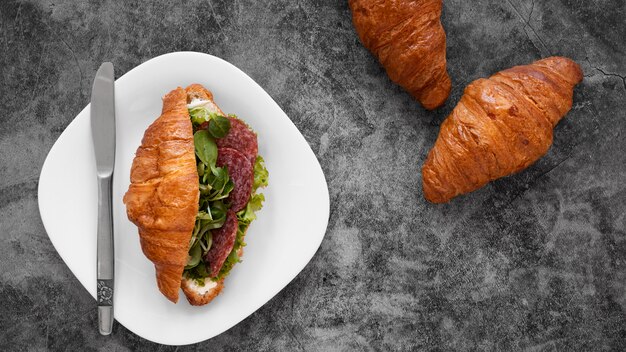 Arrangement of delicious sandwiches on cement background