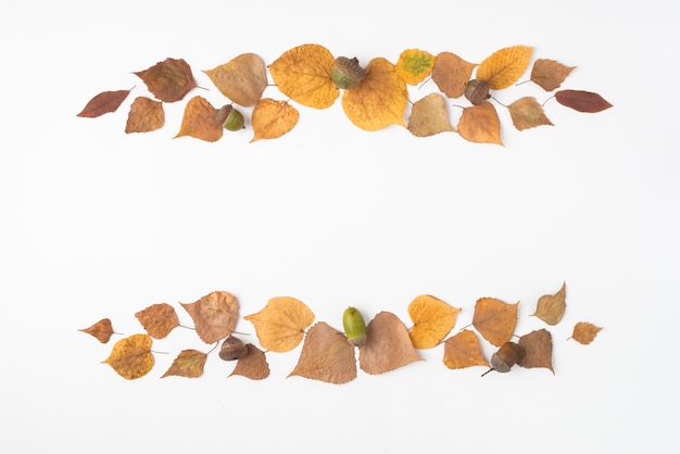 Arrangement of dried leaves and acorns forming stripes