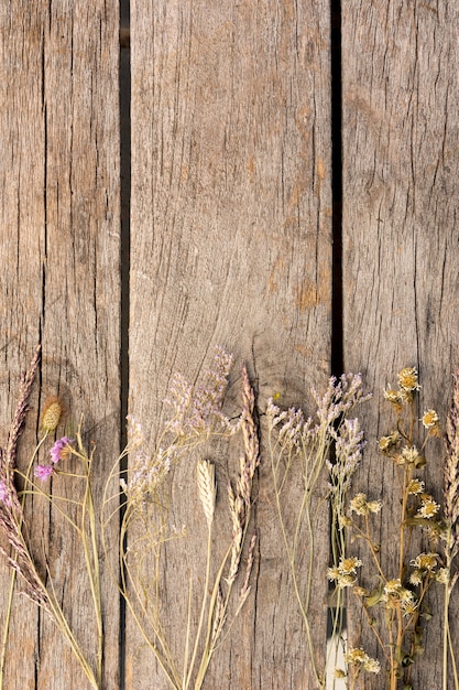Расположение сухих растений на деревянном фоне с копией пространства