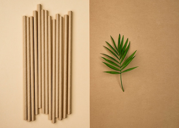 Arrangement of environment friendly straws high view