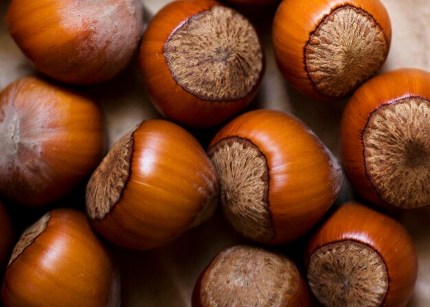Arrangement of fresh autumnal chestnuts