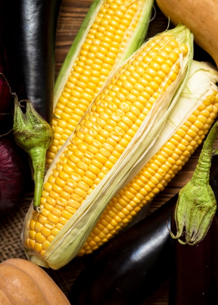 Arrangement of fresh autumnal corn