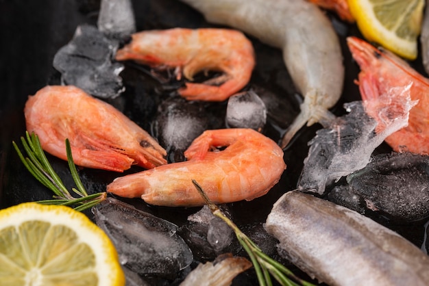 Arrangement of frozen sea food on the table