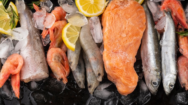 Arrangement of frozen sea food on the table