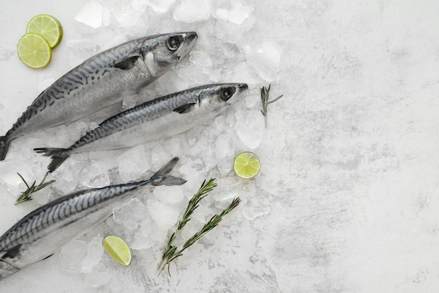 Free photo arrangement of healthy sea food