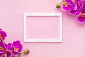 Free photo arrangement of orchid flowers on a pink copy space background