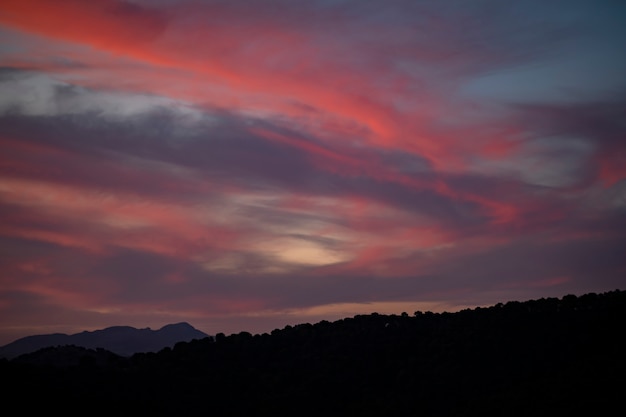 Foto gratuita disposizione dei colori rosso e viola, blu quando li vedo