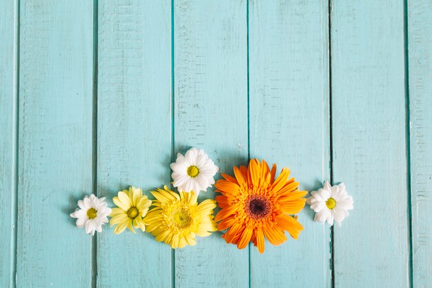 Arrangement of romantic flowers on wood