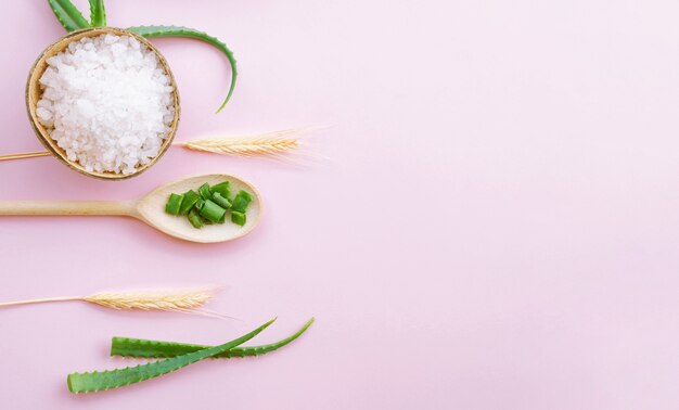 Arrangement of spoons and aloe vera leaves copy space