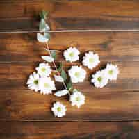 Free photo arrangement of white delicate blossoms