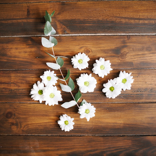 Arrangement of white delicate blossoms 