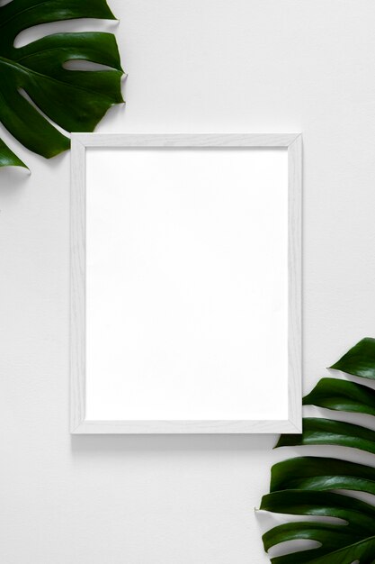 Arrangement of white empty frame