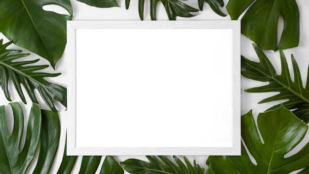 Arrangement of white empty frame