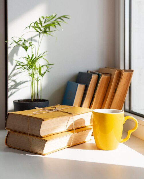 Arrangement with books and mug