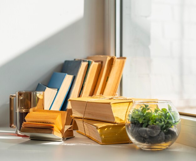 Arrangement with books and plant