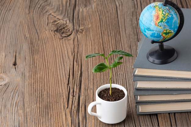 Arrangement with books and potted plant