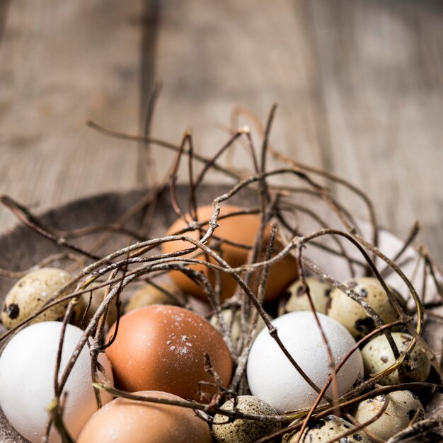 Arrangement with eggs and twigs