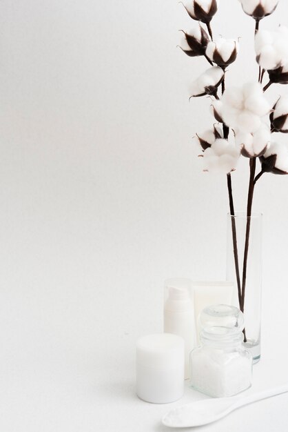 Arrangement with flowers and white background