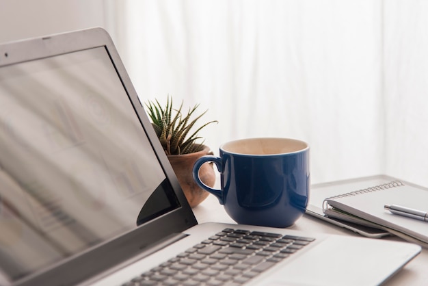 Free photo arrangement with laptop and plant