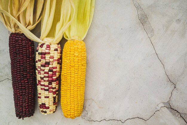 Arrangement with multicolored corn on cob