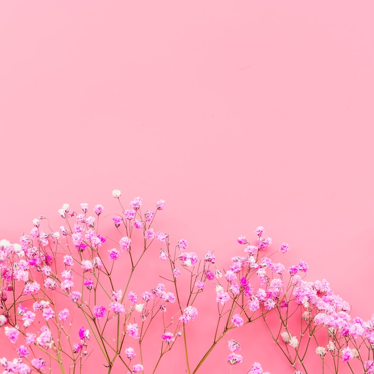 무료 Photo 분홍색 배경에 분홍색 꽃으로 배열