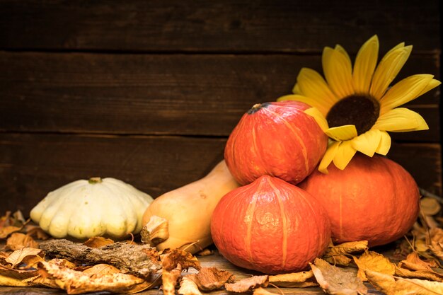 Arrangement with pumpkins and sunflower on wooden background