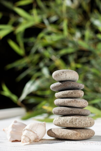 Arrangement with spa stones and shells