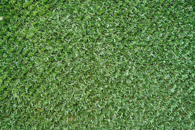 Free Photo artificial grass