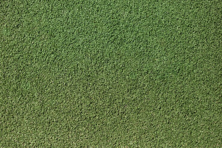 Free Photo artificial green grass close-up