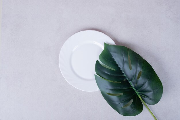 Artificial green leaf and white plate on white surface.