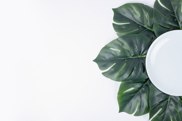 Artificial green leaves around white plate.