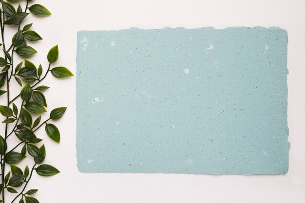 白い背景の空白の青いテクスチャ紙の近くの人工の緑の植物