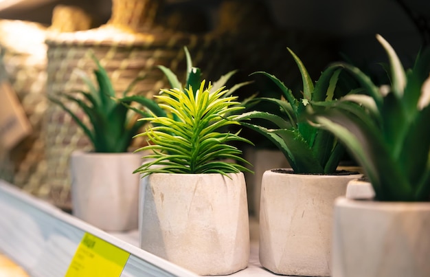 Free photo artificial green plant in pot display on rack for sale