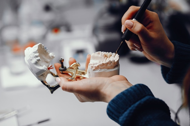 Free photo artificial jaw in the dentist's office