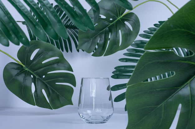 Artificial leaves and empty glass on white.